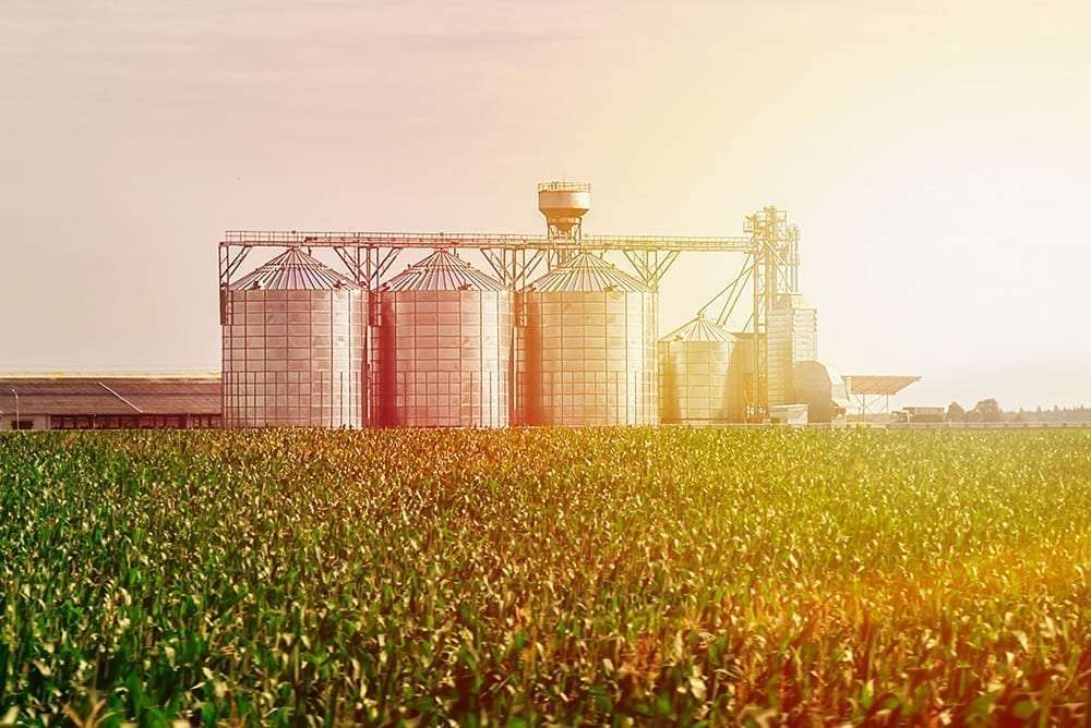 AGROALIMENTARE