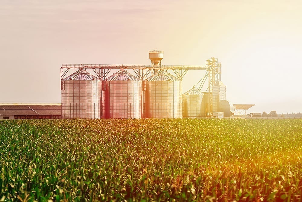 agroalimentare-72-dpi